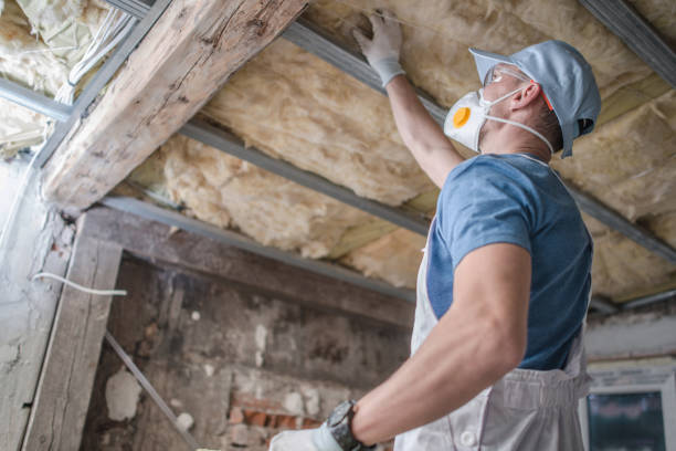 Best Geographic-Specific Insulation Services in Colonial Beach, VA